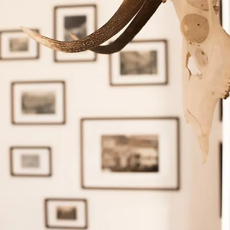 Fuerstenstein Appartement Merano