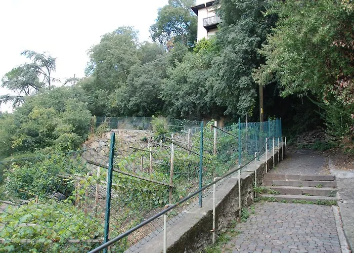 Fürstenstein * Meran